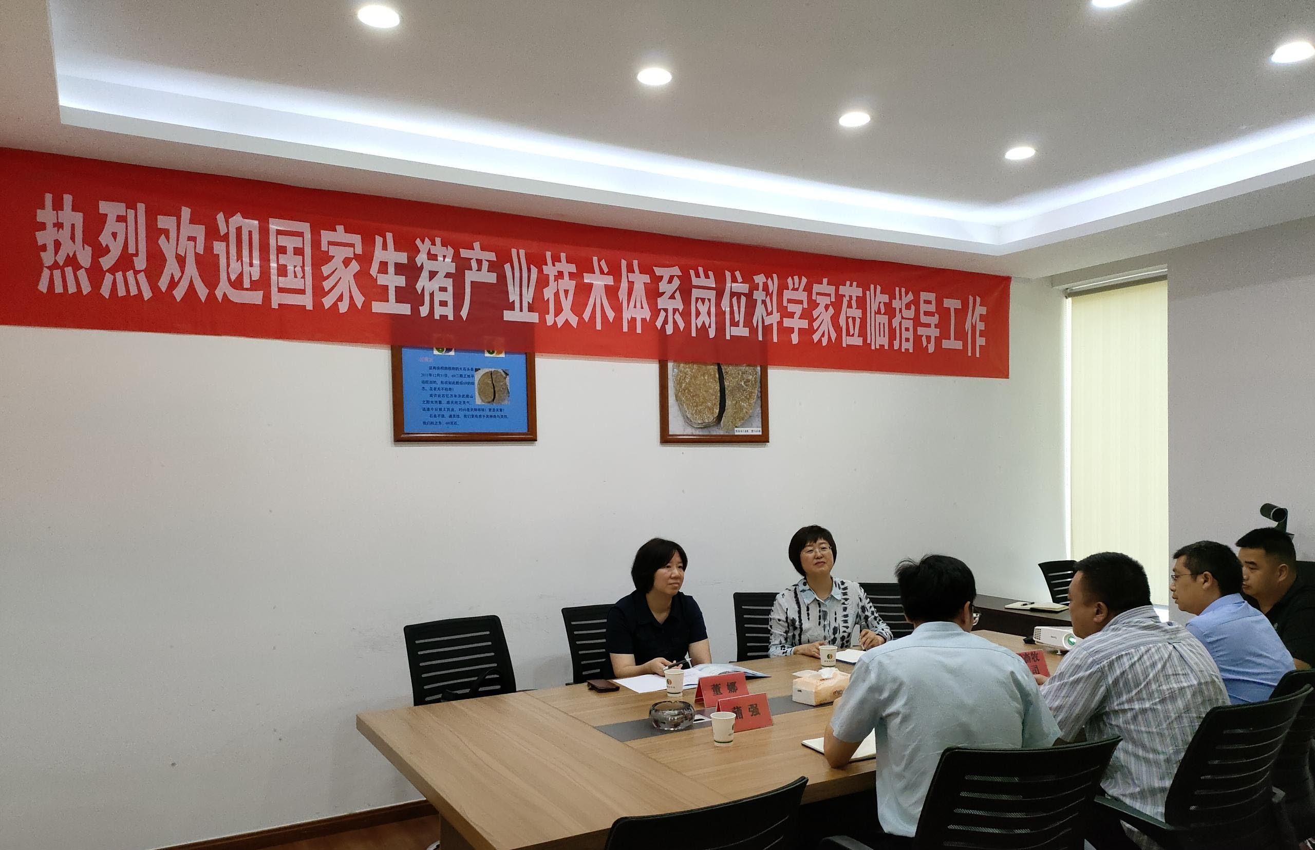 專家指導促發(fā)展  砥礪前行正當時<br/>---國家生豬產(chǎn)業(yè)技術體系崗位科學家來我司指導交流