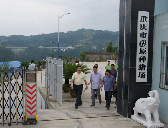 國家鄉(xiāng)村振興局副局長、原黔江區(qū)委書記洪天云視察重慶69