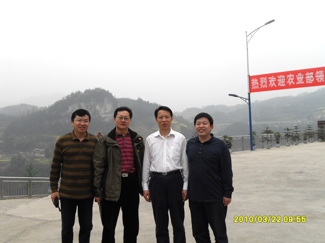 農業(yè)農村部張?zhí)熳艨値?、陳章全司長到重慶69指導工作
